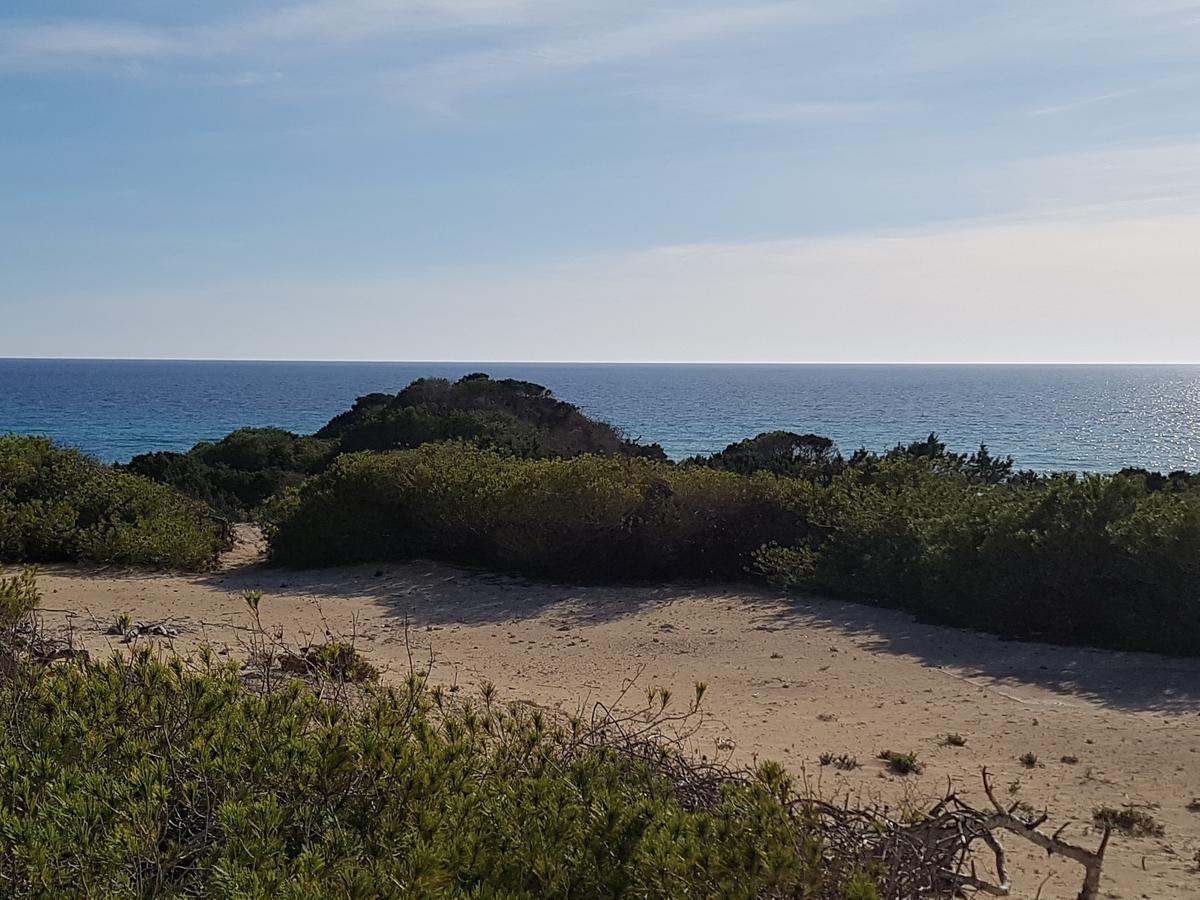 Viviendas Es Carritx La Mola Exteriér fotografie